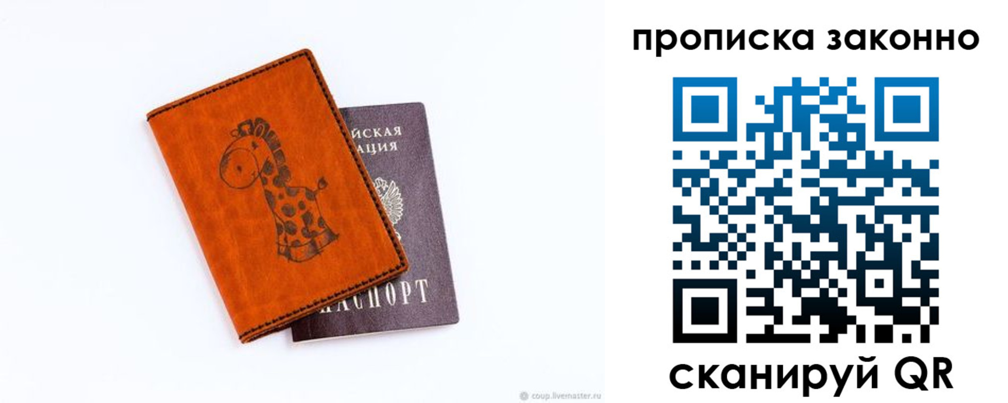 прописка в Большом Камне