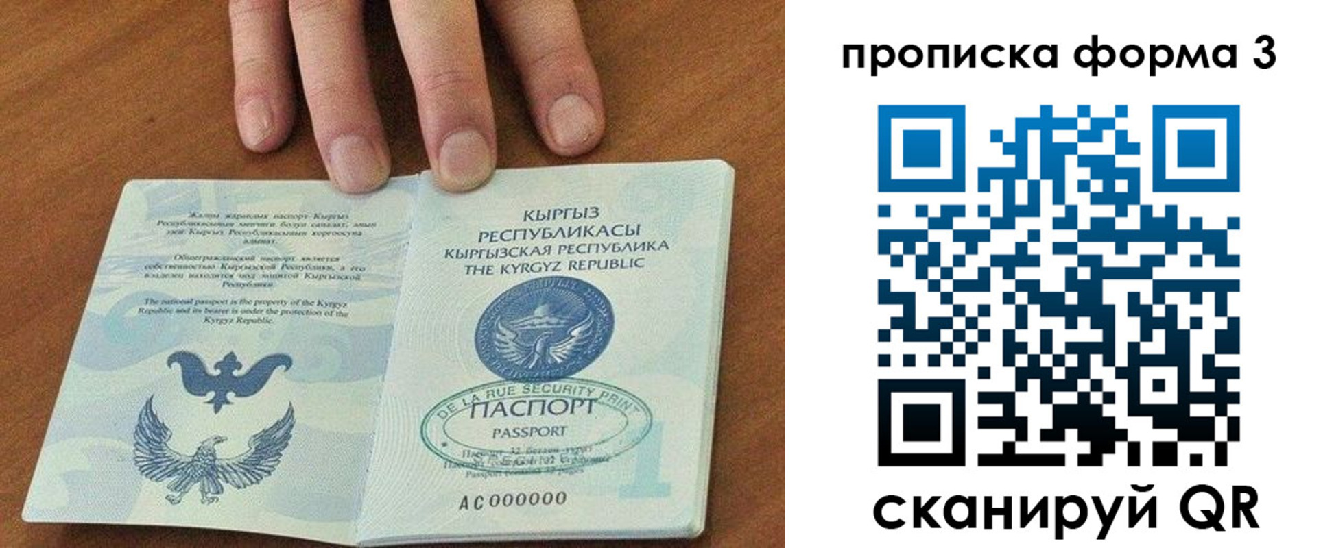 прописка 2025 в Большом Камне